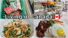 Daily life living in Canada| Grocery shopping | Vietnamese lemongrass chicken | Shrimp salad