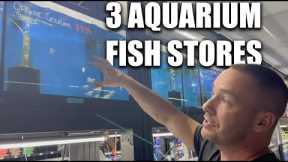 Shopping at 3 Aquarium Fish Stores WITH The king of DIY - ADayWithT