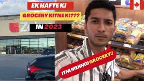 GROCERY PRICES IN CANADA 2023 || ITNI MEHNGI GROCERY?|| ||SHOPPING VLOG|| #groceryshopping #grocery