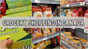 Grocery Shopping Compilation in Canada 🛒Summary of July grocery shopping.