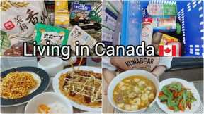Daily Life Living in Canada| Grocery Shopping | Okonomiyaki | Mapo tofu