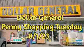 Dollar General Penny Shopping Tuesday 8/1/23 #dollargeneral #dg #pennyshopping #pennyshopper #save