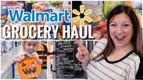 WALMART WEEKLY GROCERY HAUL | SHOP WITH ME | GROCERY HAUL AND MEAL PLAN
