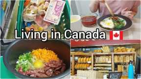 Daily Life Living in Canada| Grocery Shopping | Chinese steamed pork with salted eggs | beef soup