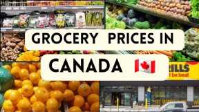 Groceries Price in Canada 🇨🇦 2023| No Frills | Grocery Shopping in Canada @vlogsincanada