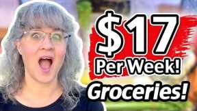 LIVE!  $17 Weekly Grocery Haul for 2 Adults And Meal Ideas | Grocery Budget Audit