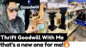 exploring new territory! thrifting goodwill for home decor!🔥