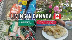 Grocery shopping at Costco and T&T supermarket| Living in Canada | Ordinary days in my life.