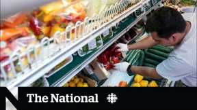 Grocery price freezes, discounts coming soon, government says