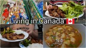 Grocery shopping | Mapo tofu | Kimchi stew | Making Vietnamese grilled pork | A lot of cooking