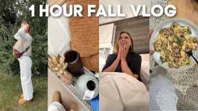 1 HR VLOG: fall walmart shopping with mom, cutest surprise, lazy stroganoff recipe & I was on TV!!!