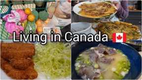 Daily life living in Canada | Grocery shopping | Korean pancake | Beef udon | Tonkatsu