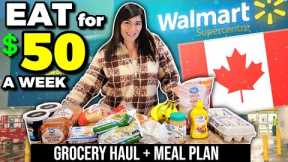 Eating for $50 a Week in Canada | EMERGENCY EXTREME BUDGET GROCERY HAUL & MEAL PLAN