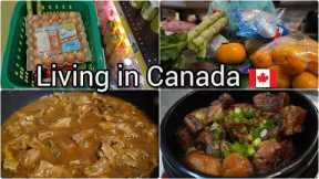 Grocery shopping | Braised pork with Coca-cola | Egg cheese toast | Chinese beef stew