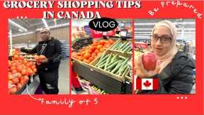 GROCERY PRICES IN CANADA 🇨🇦 2023 || INFLATION IN CANADA 🇨🇦 || GROCERY SHOPPING VLOG WALMART CALGARY