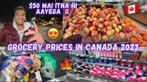 Grocery prices in canada in 2023🇨🇦 | Grocery shopping vlog | ONE WEEK GROCERY PRICE IN CANADA