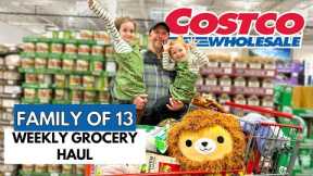 FAMILY OF 13❤️WEEKLY COSTCO GROCERY HAUL & NOVEMBER DEALS