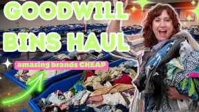 Huge Haul FANTASTIC BRANDS That Sell $ ~ GOODWILL OUTLET BINS Thrift HAUL TO RESELL on Ebay