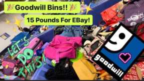 Let’s GO TO GOODWILL Bins! 15 Pounds For Resale! Thrift With Me For Resale! ++HAUL!!