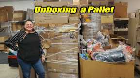 Unboxing a pallet of amazing decor items We have something to make it snow inside your house.