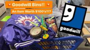 Let’s Go To Goodwill Bins! Finding Items Worth $100+! Thrift With Me For 36 POUNDS! +HAUL!