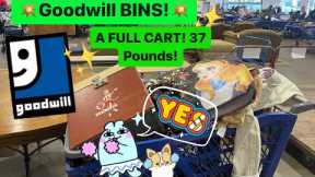 Let’s GO To Goodwill Bins! My Cart Was Overflowing! Come Thrift With Me For Resale! ++HAUL
