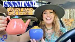 THEY WERE WORTH EVERY CENT! | Goodwill Haul | Thrift With Me | Thrift Haul