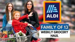 Weekly ALDI GROCERY HAUL New ARRIVALS and  21 SNACK IDEAS!