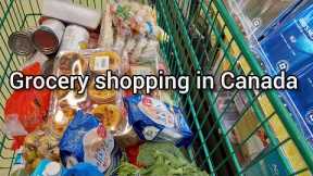 Grocery Shopping Compilation in Canada 🛒Summary of November grocery shopping with prices.