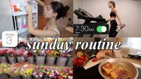 PRODUCTIVE SUNDAY RESET VLOG // organizing, grocery shopping, & deep cleaning