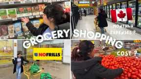 Grocery Shopping vlog | No frills Canada | Cost | monthly expenses in Canada 🇨🇦
