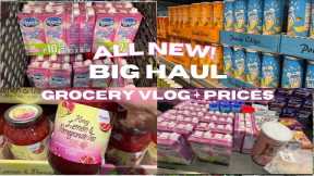RELAXING ASMR | Grocery Vlog Ph | Realistic grocery shopping @ Landers | monthly essentials