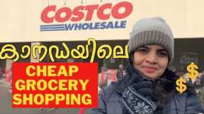 Weekly Grocery Shopping at COSTCO Wholesale | Kitchener Shopping Experience | Canada Malayalam Vlog
