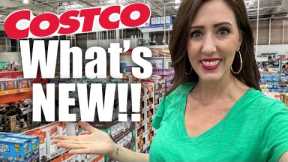 ✨COSTCO✨What's NEW!! || New arrivals at Costco