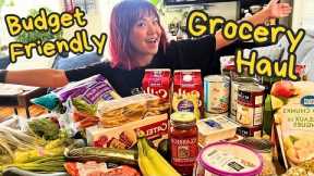 How Much Do Vegan Groceries Cost in 2024?! 😱 (Budget Friendly Vegan Grocery Haul!)