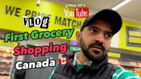 Canada🇨🇦First Grocery Shopping || Vlog 0.4 ​⁠