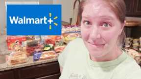 Walmart Grocery Haul with Prices