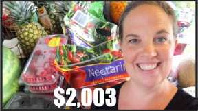 $2,003 GROCERY HAUL for 12 people - one month!