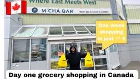 First grocery shopping in Canada 🇨🇦 || price || one week grocery shopping in just **||