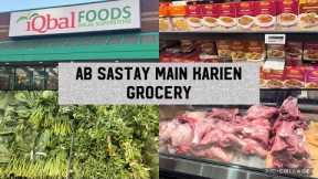 CANADA VLOG | PAKISTANI GROCERY SUPER STORE IN MISSISSAUGA CANADA 🇨🇦 | GROCERY SHOPPING HAUL |