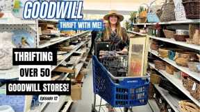 WE FILLED THE CAR! | THRIFTING OVER 50+ GOODWILL THRIFT STORES! | Thrift With Me Episode 12