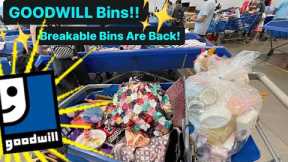 Let’s Go To Goodwill Bins! I Made A Mistake! 😢& Breakable Bins Are Back! Thrift With Me