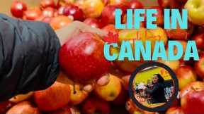 Life in Canada: Grocery Shopping on a Budget, Mini Gym Workout, and Baking | Simple Living