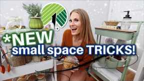 You're MISSING these DOLLAR TREE ORGANIZING tricks 🔥 small space secrets ✨