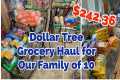 MY FiRST DOLLAR TREE GROCERY HAUL for 