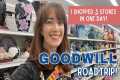 I Shopped 5 Goodwill Stores! | Thrift 