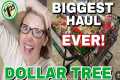 DOLLAR TREE HAUL | BIGGEST HAUL WE'VE 