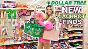 *AMAZING* DOLLAR TREE NEW FINDS SHOPPING SPREE! $500 BUDGET