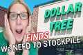 DOLLAR TREE HAUL | STOCKPILE for 2025 