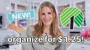 BEST Dollar Tree Organization for EVERY ROOM in 2025! 💙 ALL my easiest viral secrets!